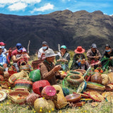 Boyacá Artisan Woven Baskets