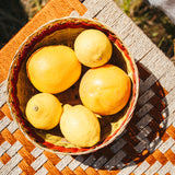 Hand Woven Colourful Esparto Bowl