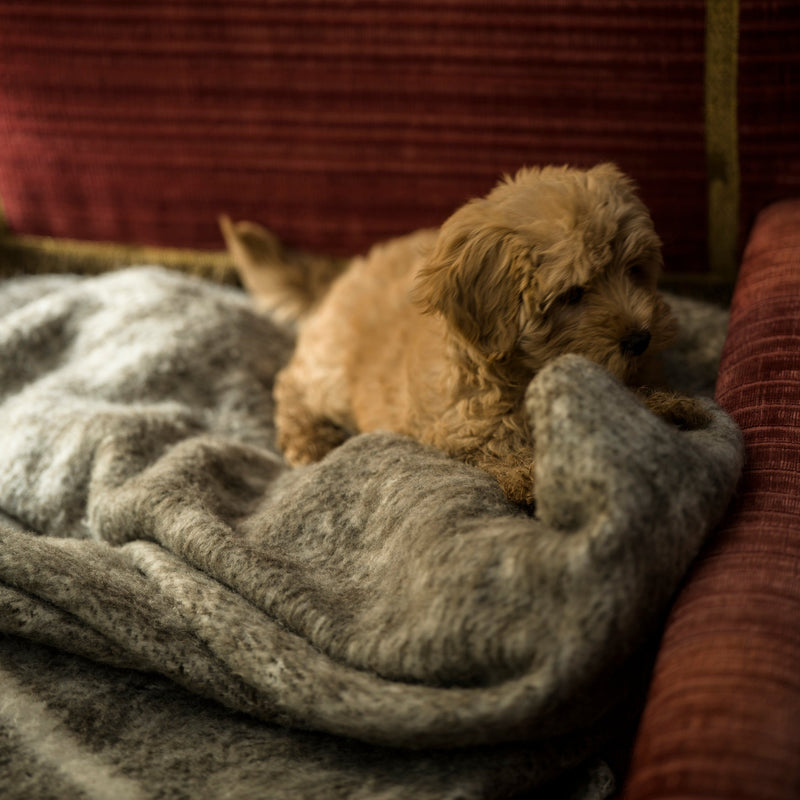 Hand Woven Artisan Woollen Blanket