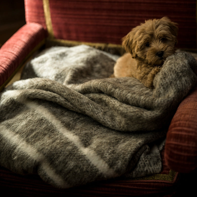 Hand Woven Artisan Woollen Blanket