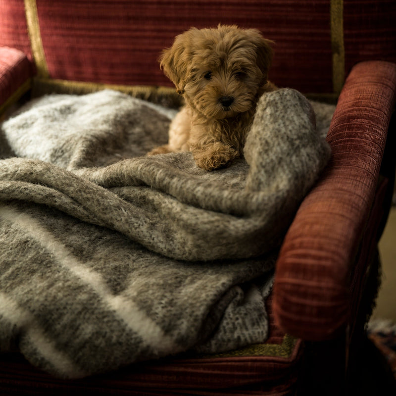 Hand Woven Artisan Woollen Blanket